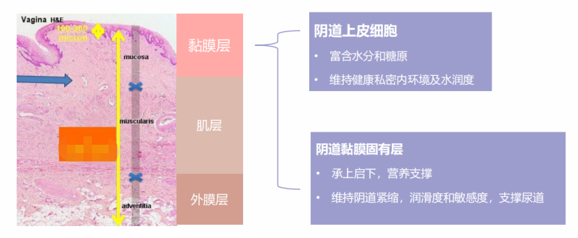 私密衰老的情况